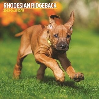 Magnet & Steel Rhodesian Ridgeback Calendario 2025