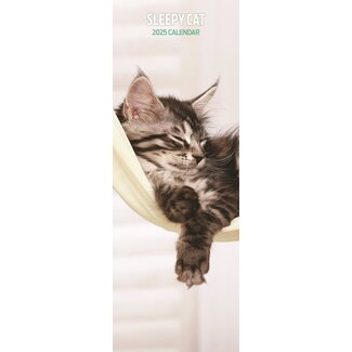 Magnet & Steel Calendario Sleepy Cat 2025 Slimline