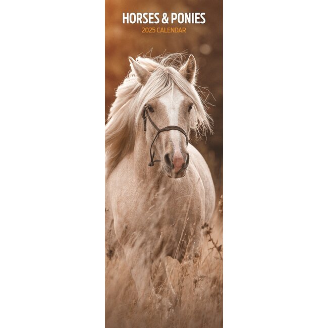 Magnet & Steel Calendrier Chevaux et Poneys 2025 Slimline