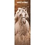 Horses and Ponies Calendar 2025 Slimline