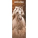 Magnet & Steel Calendario Caballos y Ponis 2025 Slimline