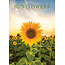 CalendarsRUs Calendrier Tournesols 2025