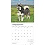 Calendario Alaskan Malamute 2025