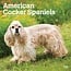 Browntrout American Cocker Spaniel Kalender 2025