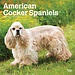 Browntrout Calendario del Cocker Spaniel Americano 2025