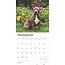 American Pit Bull Terrier Calendar 2025