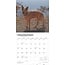 Australian Cattle Dog Kalender 2025