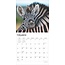 Baby Animals Calendar 2025