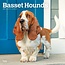 Calendario Basset Hound 2025