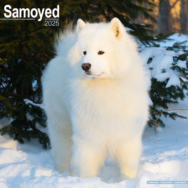 Calendario Samoyedo 2025