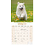 Calendario Samoyedo 2025