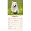 Samoyed Calendar 2025