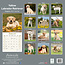 Labrador Retriever Blonde Chiots Calendrier 2025