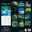 Northern Lights Calendar 2025