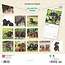 Teckel Kalender Puppies 2025