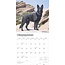 German Shepherd Calendar 2025