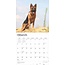 German Shepherd Calendar 2025