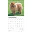 Calendario Chow Chow 2025