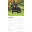 Dachshund-Kalender 2025