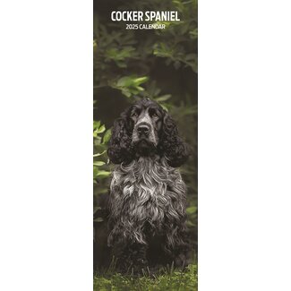 Magnet & Steel Engelse Cocker Spaniel Kalender 2025 Slimline
