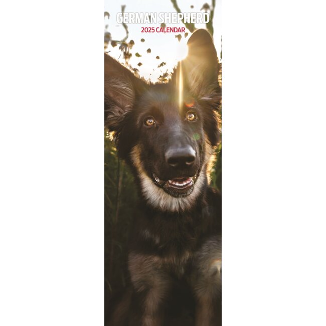 Magnet & Steel German Shepherd Calendar 2025 Slimline