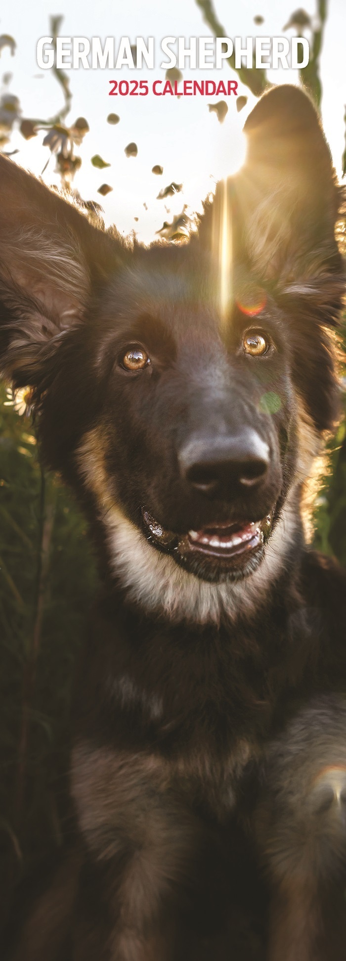 German Shepherd Calendar 2025 Slimline Buy Order easily online