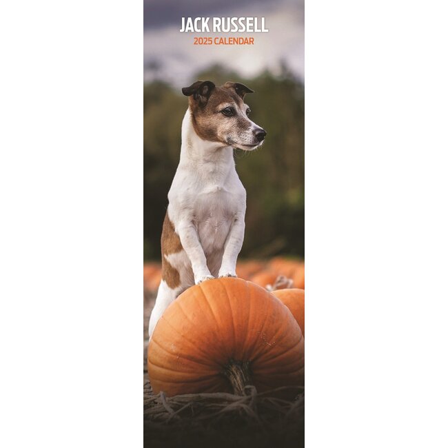 Calendario Jack Russell Terrier 2025 Slimline