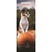 Magnet & Steel Calendario Jack Russell Terrier 2025 Slimline