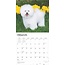 Bichon Frise Calendar 2025