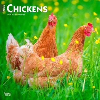 Browntrout Chickens Calendar 2025