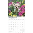 Chihuahua Chiots Calendrier 2025