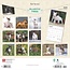 Bull Terrier Kalender 2025