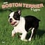 Boston Terrier Puppies Calendar 2025