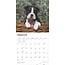 Boston Terrier Cachorros Calendario 2025