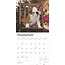 Englische Bulldogge Kalender Welpen 2025