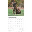 Bullmastiff Calendar 2025