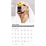 12 Uses for a Golden Calendar 2025