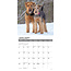 Airedale Terrier Kalender 2025