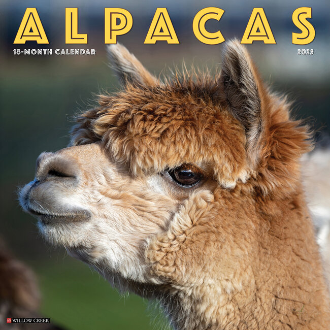 Willow Creek Calendario Alpacas 2025
