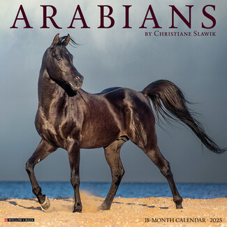 Willow Creek Arabian Calendar 2025