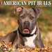 Willow Creek Calendrier du Pit Bull Terrier Américain 2025