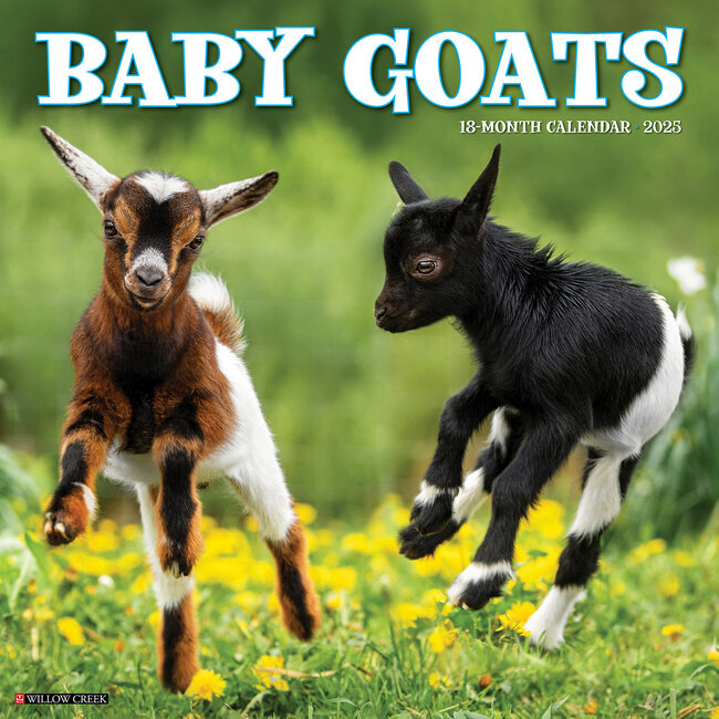 Baby Goats Calendar 2025
