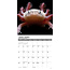 Axolotls Calendrier 2025