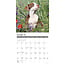 American Pit Bull Terrier Welpen Kalender 2025