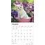 Kittens Kalender 2025