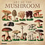 Willow Creek The Art of the Mushroom Calendar 2025