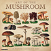 Willow Creek L'arte del fungo Calendario 2025