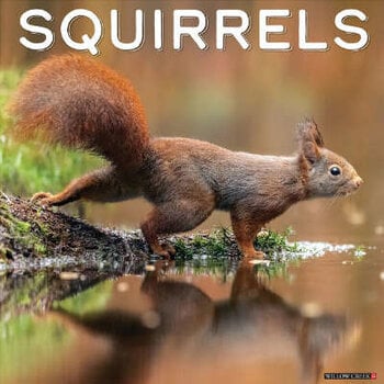 Squirrel Calendar