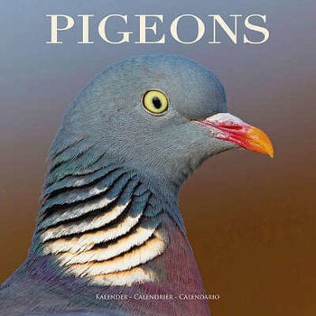 Pigeon Calendar