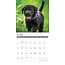 Labrador Retriever Black Puppies Calendar 2025